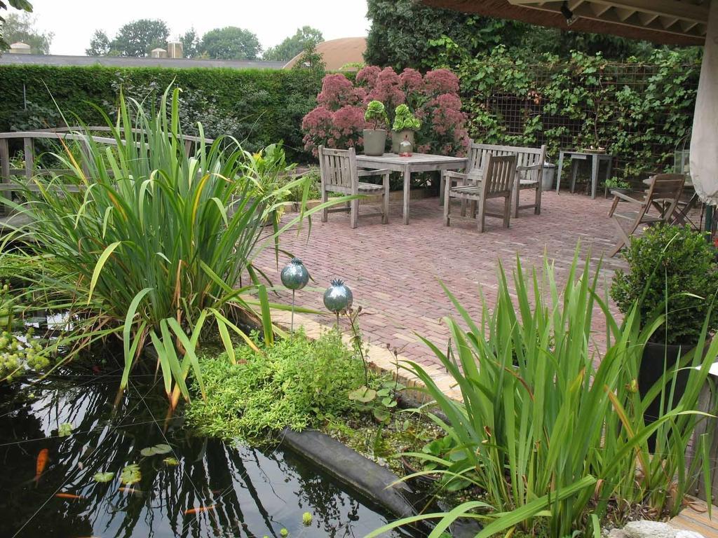 Altijd Zon Bed and Breakfast Oss Værelse billede